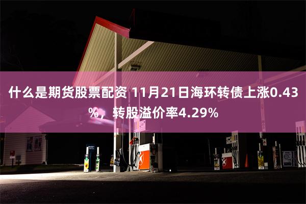 什么是期货股票配资 11月21日海环转债上涨0.43%，转股溢价率4.29%