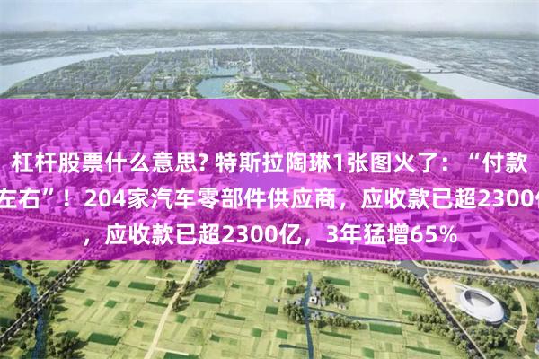 杠杆股票什么意思? 特斯拉陶琳1张图火了：“付款周期已缩至90天左右”！204家汽车零部件供应商，应收款已超2300亿，3年猛增65%