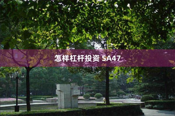 怎样杠杆投资 SA47