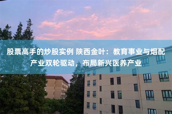 股票高手的炒股实例 陕西金叶：教育事业与烟配产业双轮驱动，布局新兴医养产业