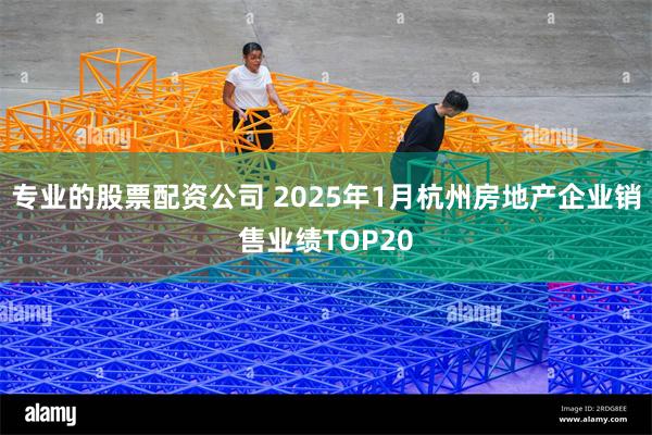 专业的股票配资公司 2025年1月杭州房地产企业销售业绩TOP20